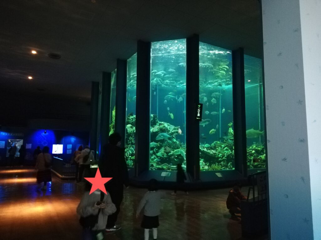 東海大学海洋科学博物館の内部