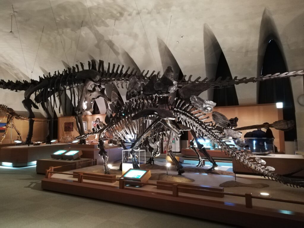 恐竜の博物館